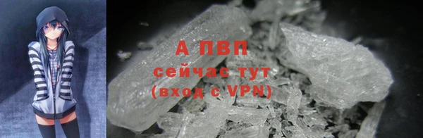 2c-b Богородицк