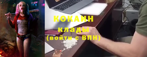 2c-b Богородицк
