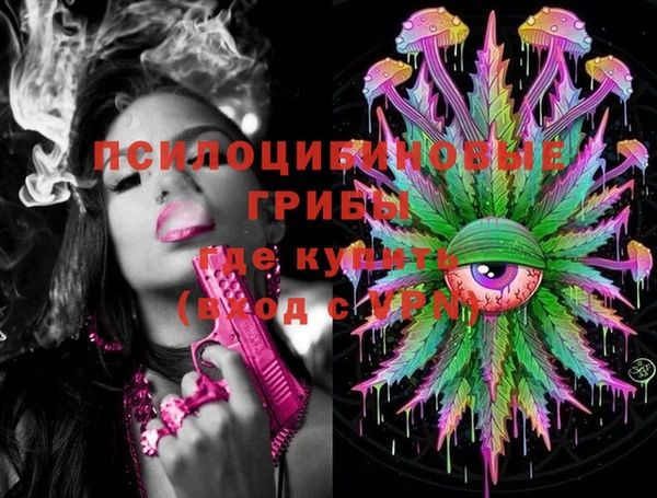 2c-b Богородицк