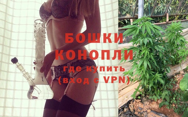 эйфоретик Богородск
