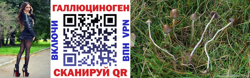 купить наркотик  Духовщина  Галлюциногенные грибы мухоморы 